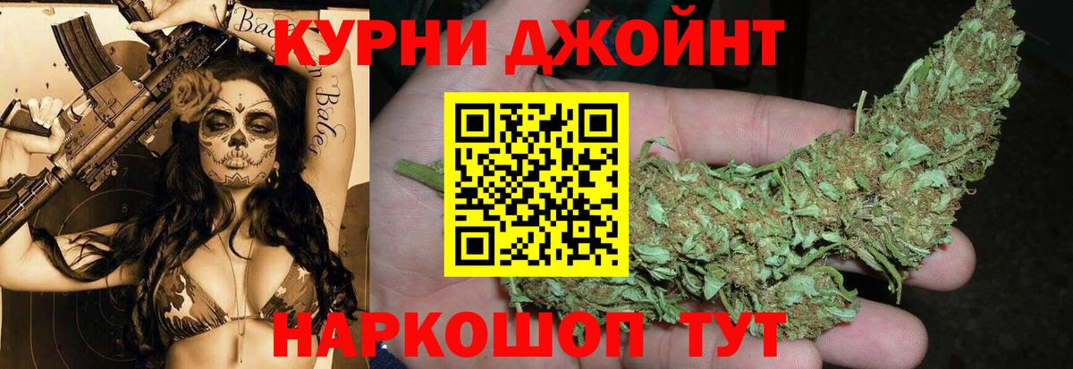 Канабис OG Kush Россия